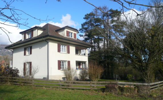 mehrfamilienhaus kaufen mittelland